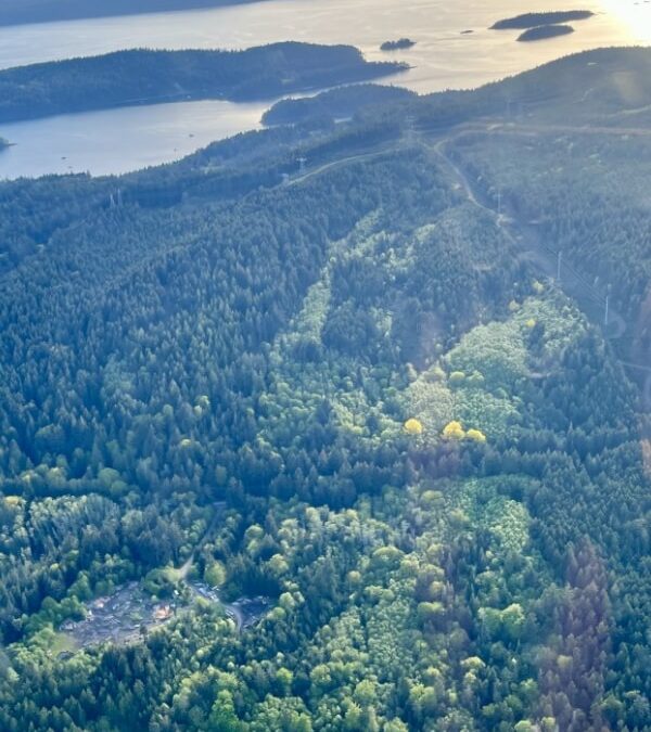 Gulf Islands Galisle Affordable Rental Housing Society (GIGARHS)